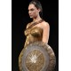 Wonder Woman Statue Wonder Woman Training Costume 79 cm